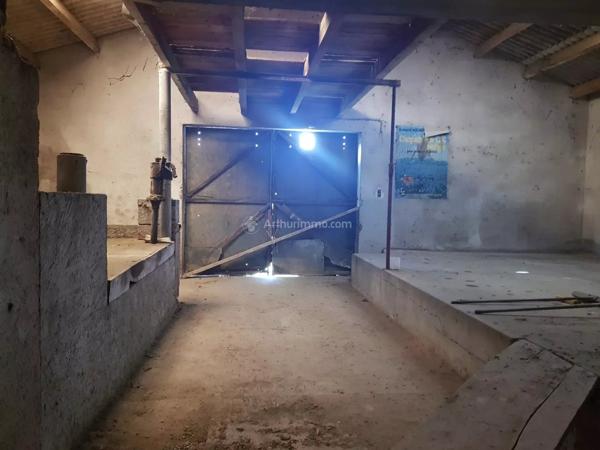 Vente Local industriel 900 m2 à Albi