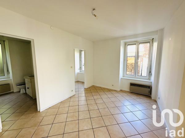 Appartement à vendre 3 pièces 41 m² Dannemarie