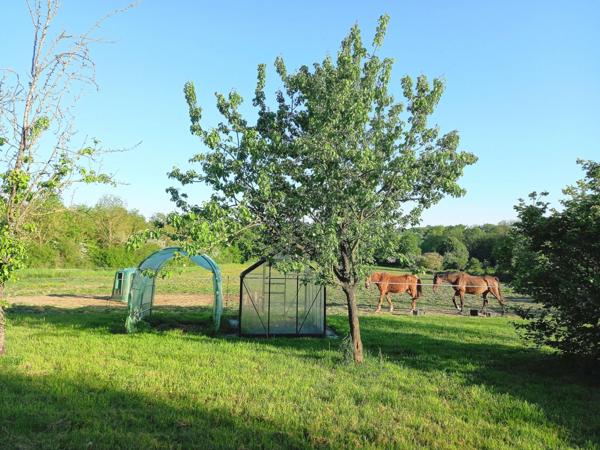 Propriété avec longère en pierres 8 pièces - 5 chambres - terrain 2,5ha