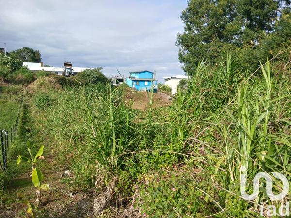 Terrain à vendre 597 m² Les Trois-Bassins