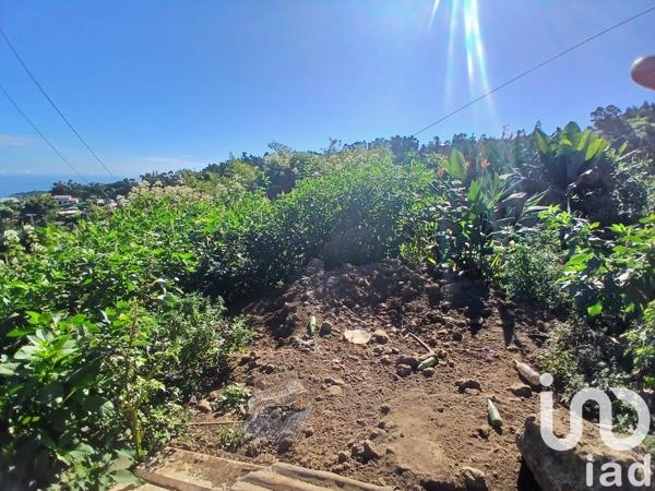 Terrain à vendre 597 m² Les Trois-Bassins