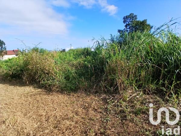 Terrain à vendre 597 m² Les Trois-Bassins