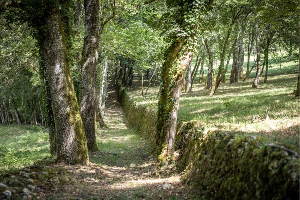 Maison Lalinde - DORDOGNE