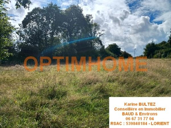 Terrain à vendre de 539,00 m² BAUD (56)