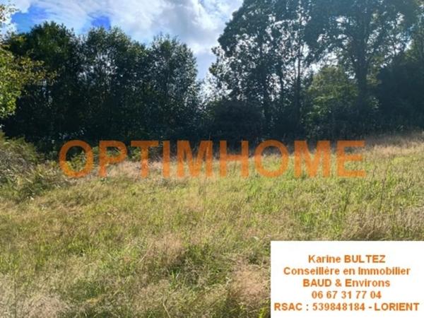 Terrain à vendre de 539,00 m² BAUD (56)