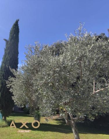 CASTELNAU-LE-LEZ - TERRAIN CONSTRUCTIBLE DE 1156 - TERRAIN ARBORÉ  650 000 