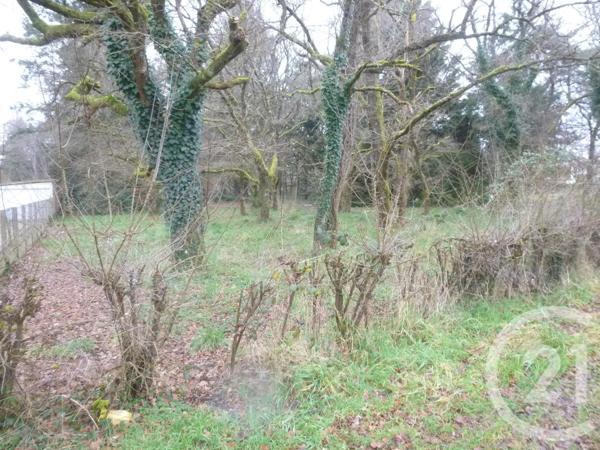 Terrain à vendre  3280 m2 VILLEFRANCHE SUR CHER - 41
