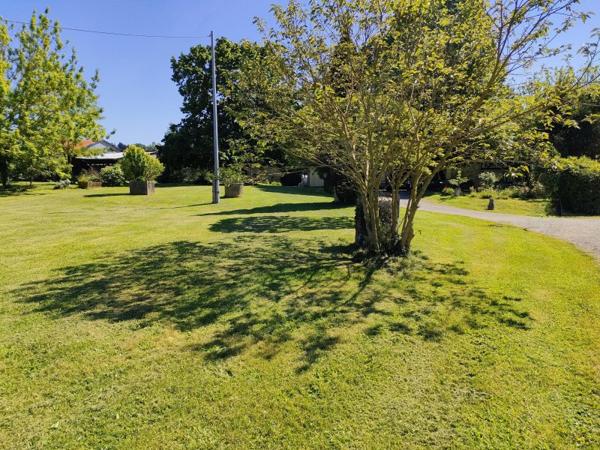 Vente / Maison et grand terrain