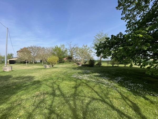 Vente / Maison et grand terrain