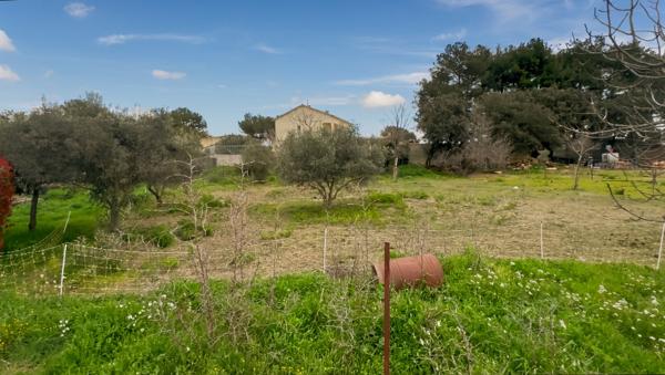Terrain de 1000 m² à Miramas : L'opportunité idéale pour votre futur projet !