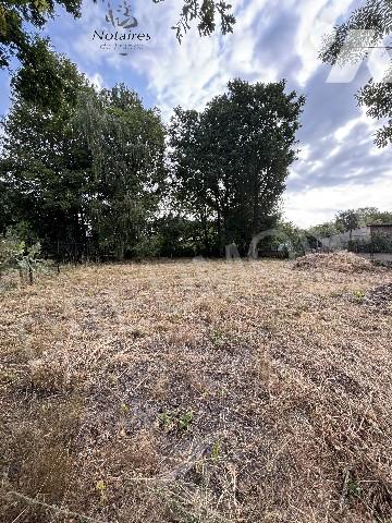 Terrain à bâtir
