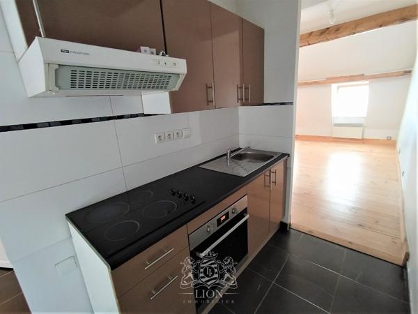 QPV - Vieux Lille - T3 bis en duplex non meublé