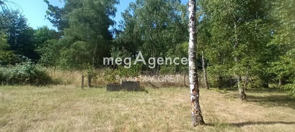 Maison à LANGON SUR CHER, 41320 - 5 pièces 132m²