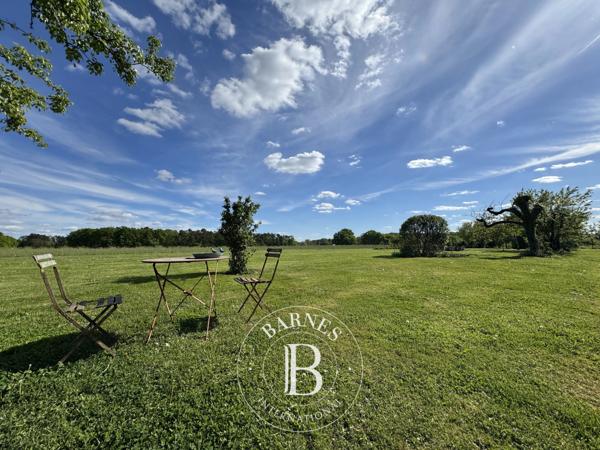 Cour-Cheverny, Maison  280 m² à vendre