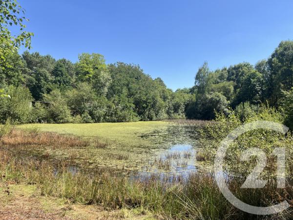 Maison à vendre  5 pièces - 181 m2 PARIGNE L EVEQUE - 72