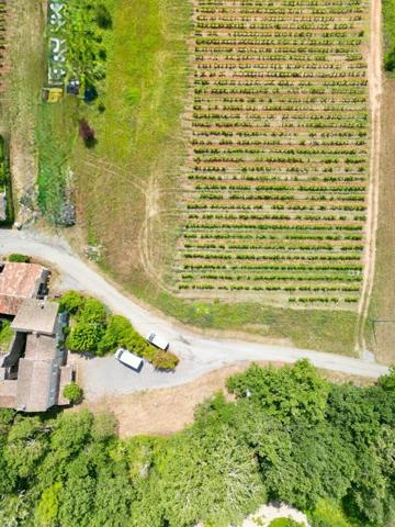 Maison à vendre    5 pièces • 155 m2 Les Vans