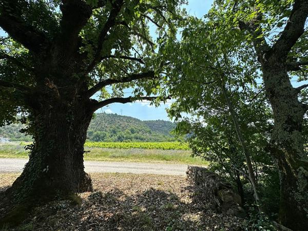 Maison à vendre    5 pièces • 155 m2 Les Vans