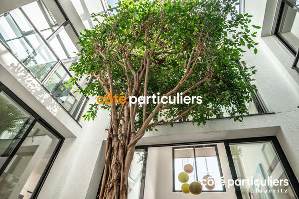 Vente Maison310 m² - 7 Pièces - ARCANGUES (64200)