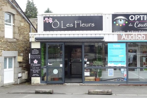 Local Commercial à ANTRAIN, 35560 - 2 pièces