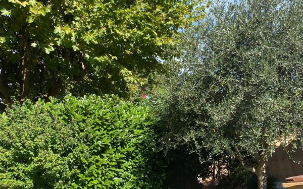 Maison à vendre    5 pièces •  Pierrelatte