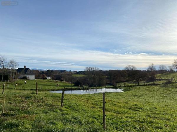 Maison à vendre à Arnac dans le Cantal (15150), ref : 15061-32