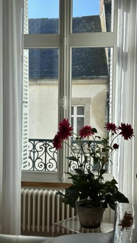 Vente / Appartement à Vannes (56000)