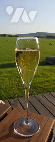 Découvrez cette magnifique Maison Individuelle face à la nature à Contrexéville