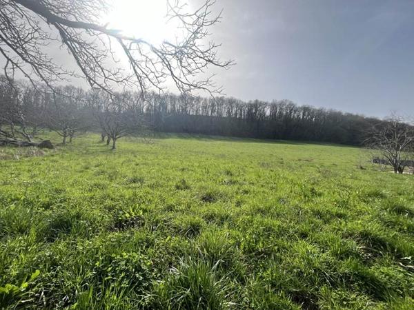 Terrain à vendre |  Autoire |  5730 m²