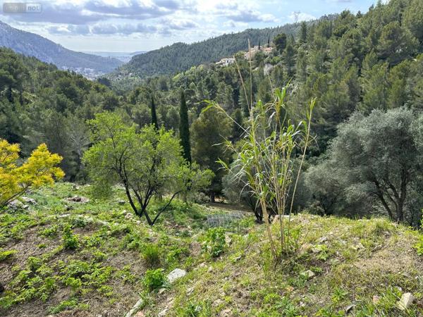 Achat - Maison | Maison Toulon 83000 4 pièces 149 m 2 6037 m 2