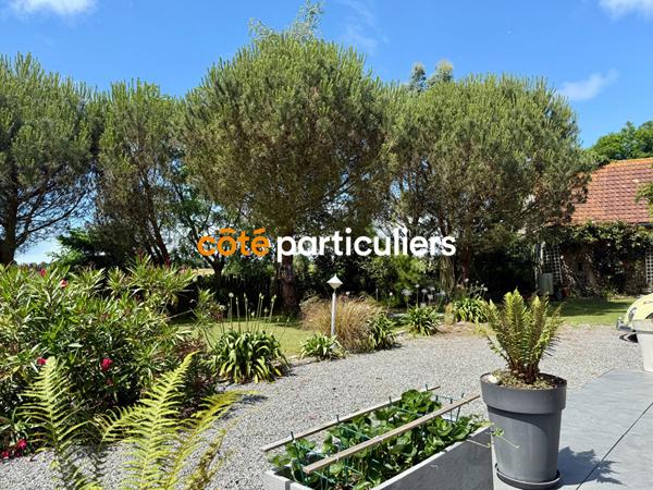 Vente Maison142 m² - 6 Pièces - Granville (50400)