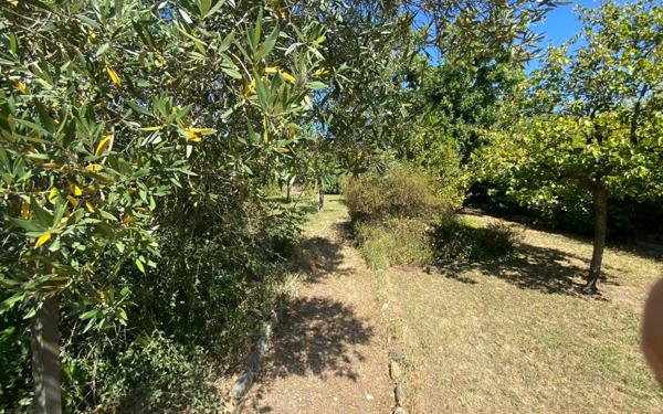 Maison à vendre    7 pièces •  Tournefeuille