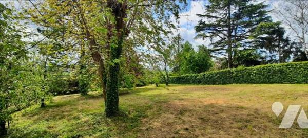 Exclusivité Vicq sur Nahon (36600)