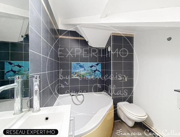 Chaville (92370) Maison meulière 101m2 Parc Fourchon Chaville