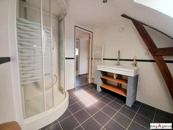 Maison à SAINT-BRICE-EN-COGLES, 35460 - 9 pièces 240m²