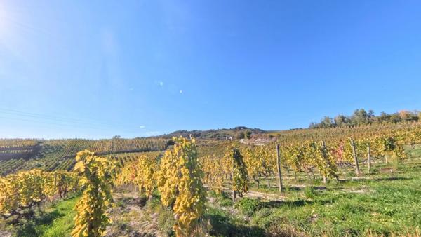 Maison Moderne avec Piscine - Au Cœur des Vignobles - LARNAGE (26) - Cadre de Vie Privilégié