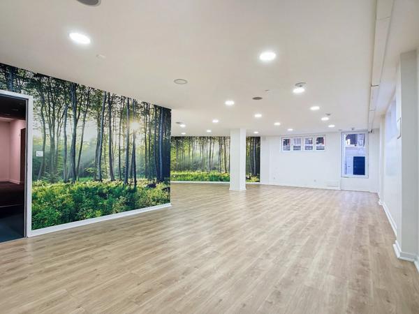 LOCAL ET MURS COMMERCIAUX A CHAMBERY