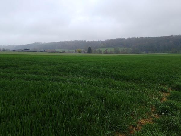 Terrain à SAINT-MARD-DE-RENO, 61400 - 19000m²