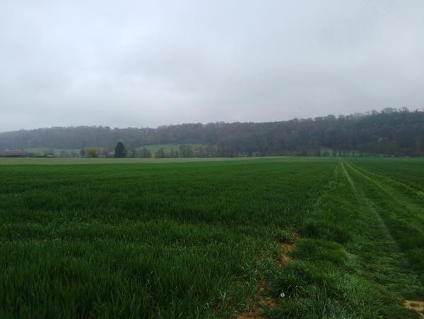 Terrain à SAINT-MARD-DE-RENO, 61400 - 19000m²