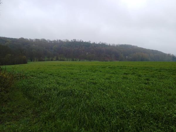Terrain à SAINT-MARD-DE-RENO, 61400 - 19000m²