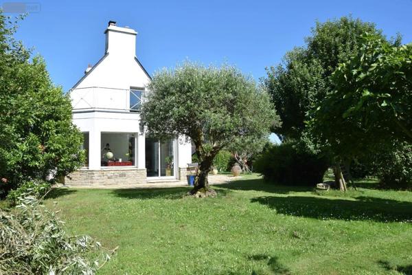 Achat - Maison Trégunc 29910 8 pièces 205 m 2 23000 m 2