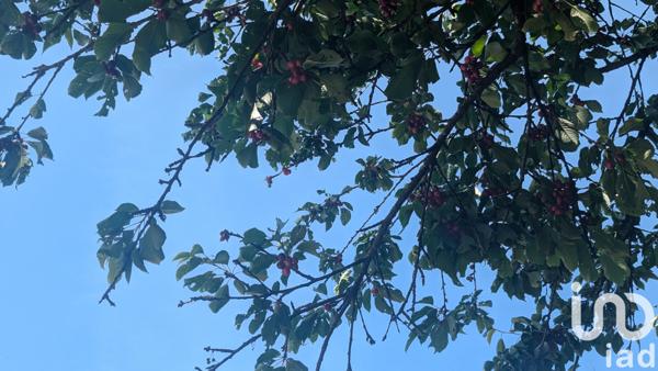 Terrain à vendre 1 469 m² Brancourt-en-Laonnois