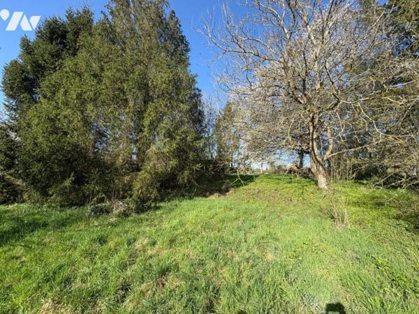 Vente Autre terrain à Mondrepuis