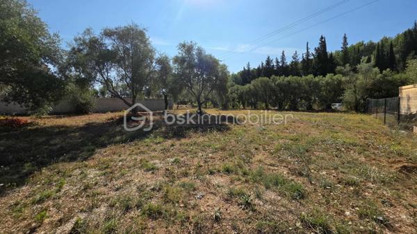 Terrain de 1 345 m²