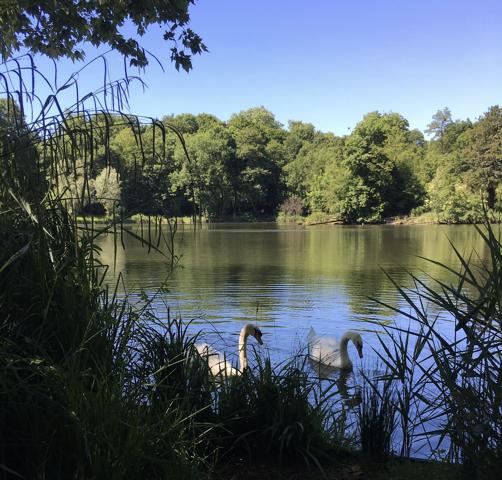 Appartement à vendre à Garches (92380) - Hauts-de-Seine