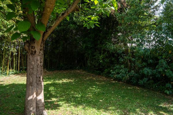 Maison en avenue privée proche du parc de Procé