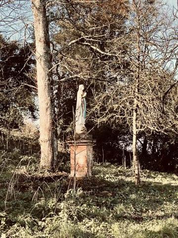 Maison à vendre |  Rabastens |  10 pièces | 430 m²