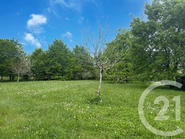 Maison à vendre  8 pièces - 326 m 2   MONTPON MENESTEROL  - 24