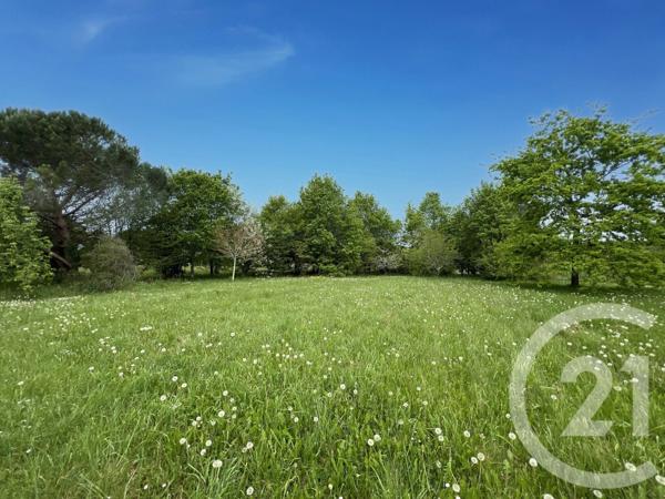 Maison à vendre  8 pièces - 326 m 2   MONTPON MENESTEROL  - 24