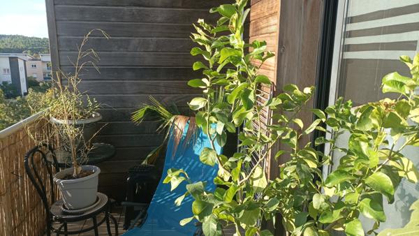 Narbonne (11100) appt t2 avec terrasse et parking