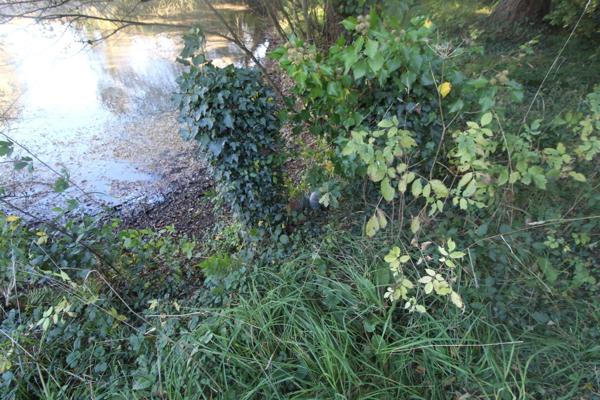 UN BOL D'AIR et de DETENTE